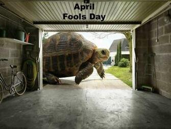 April Fools Day Wallpaper Computer