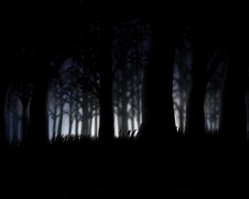 Forest Computer Wallpaper Desktop Background
