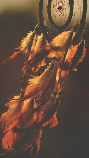 Dream Catcher Sunset iPhone 5c 5s Wallpaper