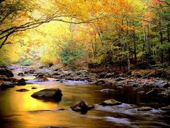 Beatiful Streams