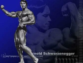Who Rock Female Body Building Wallpaper Fitness Men Builder