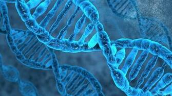 Dna Molecule Wallpaper