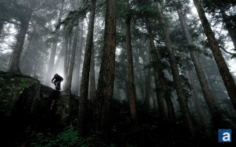 Mtb Wallpaper 4k