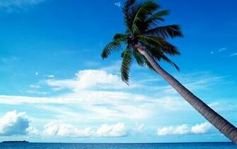 Wallpaper HD For Your Desktop Smartphone Tablet
