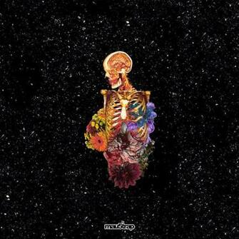 Getter Visceral Album Art Cover Music Vinyl