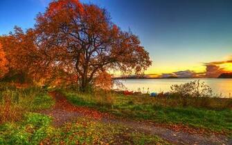 Autumn Wallpaper Beautiful HD