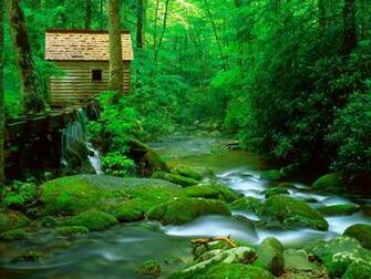 Great Smoky Mountain National Park Tennessee Usa Tourist