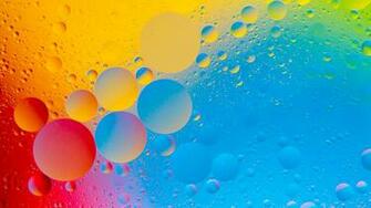 Colourful Bubbles 4k HD Abstract Wallpaper iPhone Plus
