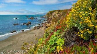 Garden California Wallpaper Seaside Bay