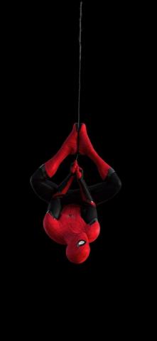 Hanging Spiderman Super Hero Dark HD Wallpaper Traxzee