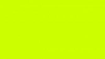 Large White Wallpaper