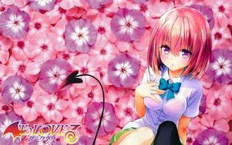 To Love Ru Darkness Sweet Momo Wallpaper By Mrsonicteam12 On