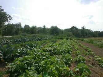 Computer Wallpaper Pictures Background Maine Of