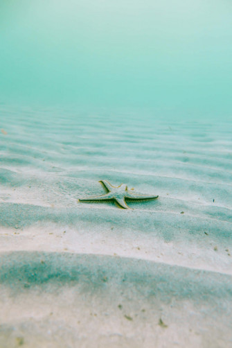 Peaceful Relaxing Wallpaper