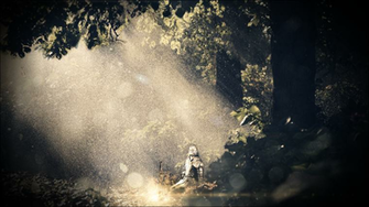 Speed Art Dark Souls Wallpaper Forest