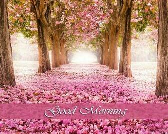 Good Morning Brother Wallpaper Wall