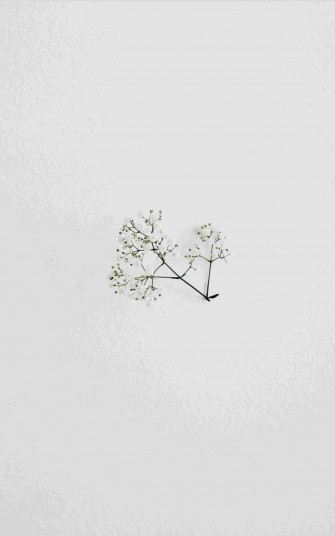 Minimalist Tablet Displaying Spring Flower Image