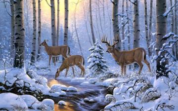 Deer Wallpaper For Computer On