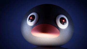 Noot Meme R Wallpaper