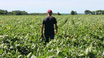 Farmer Bankruptcies Swell To Decade High In Farm Belt Axios