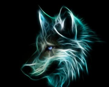 I K Al Mas Wolf Pictures Face Wallpaper
