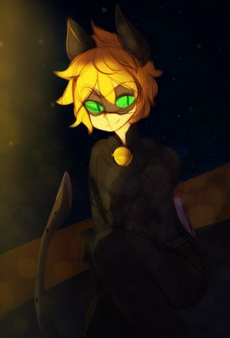 Miraculous Ladybug Chat Noir By Silverknight27