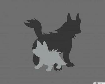Mightyena And Poochyena Of Pokemon HD Wallpaper