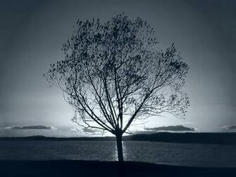 Cold Day Wallpaper By Iker Customization Photo Manipulated