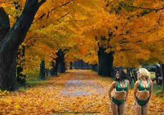 Source Url Bostoncelticswallpaper Spot 2013