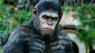 Dawn Of The Planet Apes HD Wallpaper