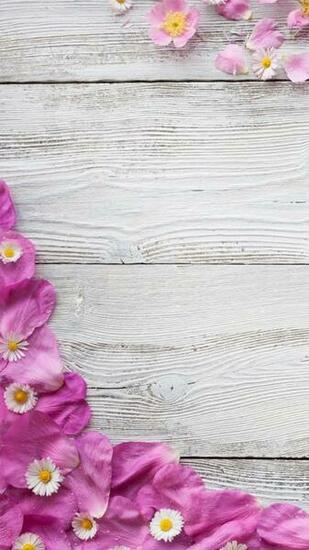 Flowers Pink Petals Water Drops Wood Board iPhone