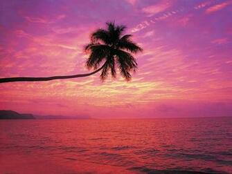 Movie World Kerala Nature Wallpaper Desktop