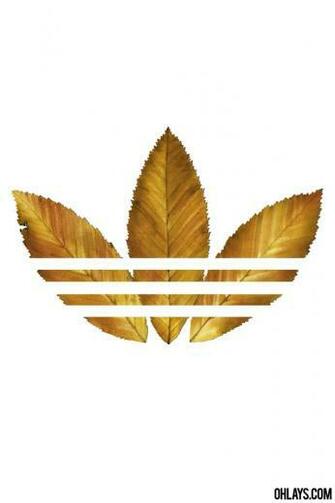 Adidas iPhone Wallpaper Ohlays
