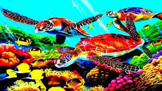 Sea Turtles