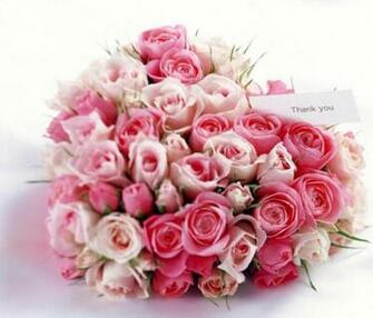 St Valentine S Screensaver Multimedia Gallery