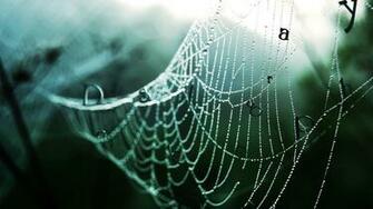 Widescreen Abstract HD Desktop Wallpaper And Background