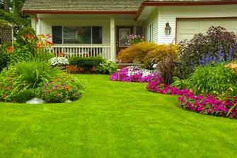 Backyard Gardens Wallpaper Top
