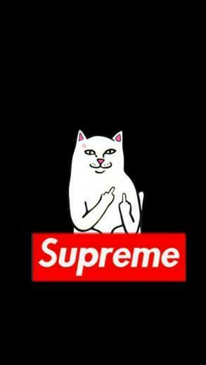 Toedit Lockscreen Supreme Ripndip Cat iPhonelockscreen