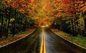 This Interactive Map Will Tell You Where Fall Foliage Peak