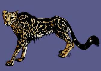 King Cheetah Running Face Vs