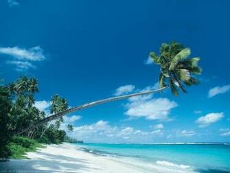 Corona Beach Wallpaper By Desktopextreme For Your