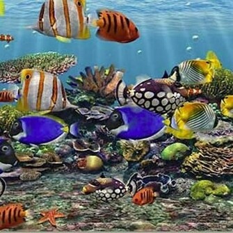 3d Live Wallpaper For Desktop HD Image Galleries Imagekb