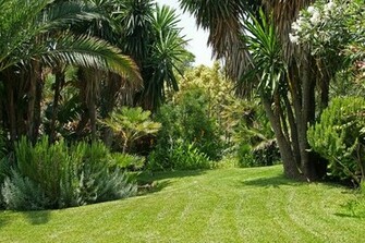 Garden Background Stock Photos Rgbstock Image
