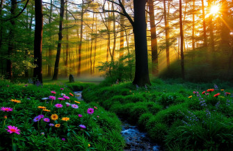 Screensavers And Wallpaper For Windows