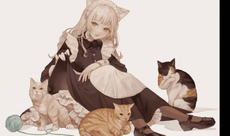 Anime Cat Wallpaper