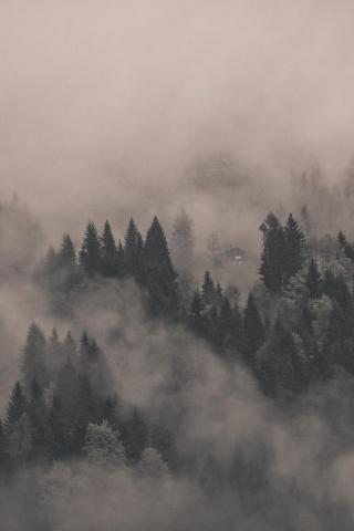 Misty Mountain Landscape iPhone Wallpaper