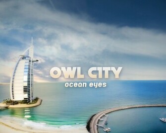 Owl City Wallpaper Desktop