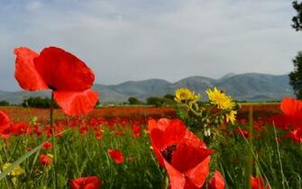 Free download Hero Guide Xeniel Mage Super Tebal Bigetron eSports