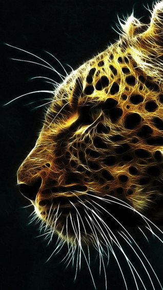 Animal iPhone Wallpaper