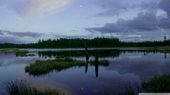 Wallpaper Hunneberg Bird Sanctuary 1080p HD Upload At